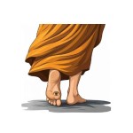Zen X