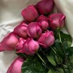 Afroza Amy