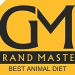 grandmaster global