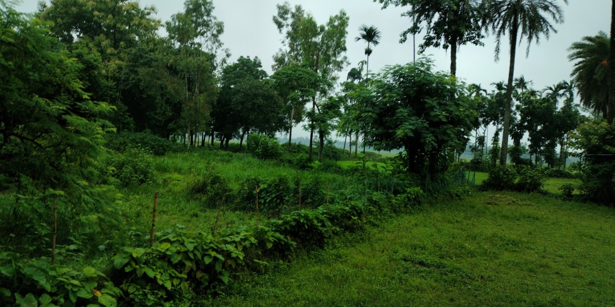 সেই তুমি