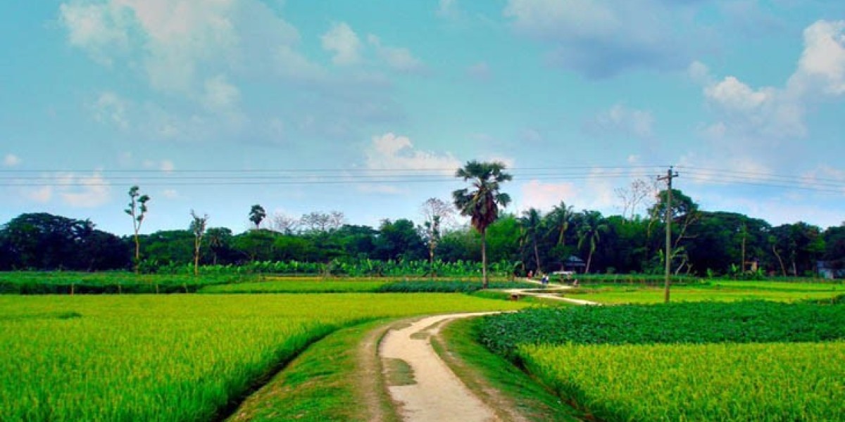 এমর কেন
