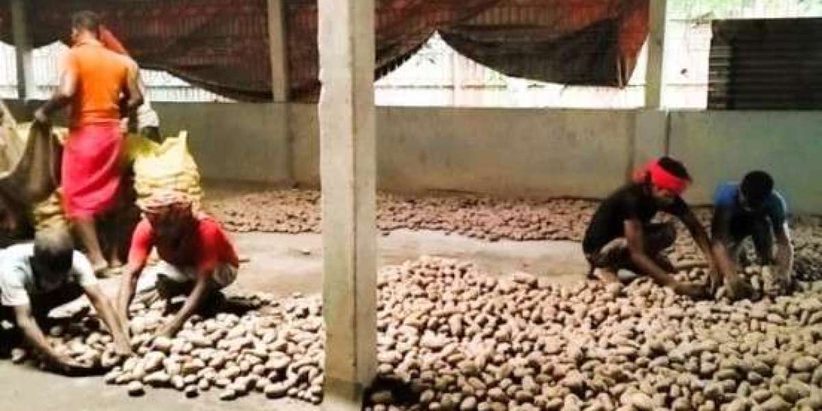 Potato farmers disappointed with loss