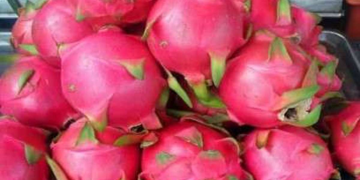 ড্রাগন ফল: স্বাস্থ্যসাথী রঙিন সেরা ফল