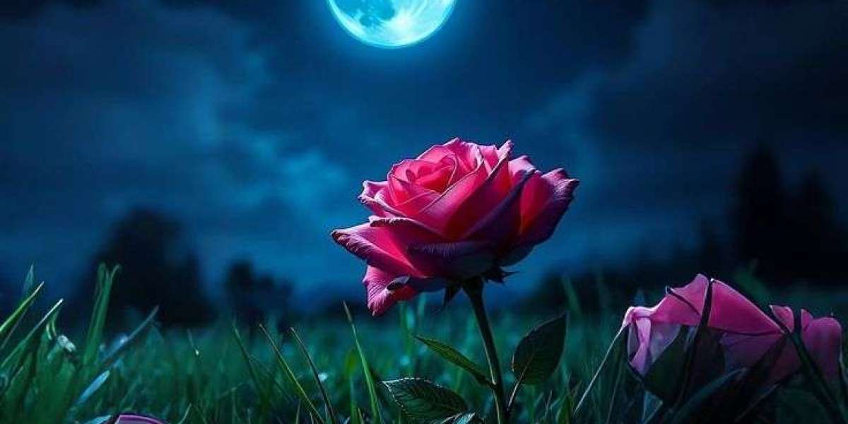 রাসুলুল্লাহ সাল্লাল্লাহু আলাইহি ওয়া আলিহি ওয়া সাল্লামের ওহি নাজিল।