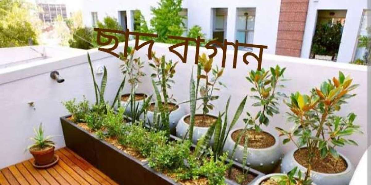 ছাদ বাগান : শহরের সবুজ নিঃশ্বাস