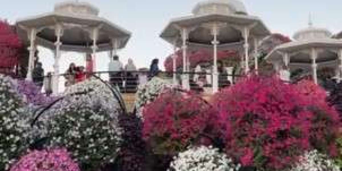 মরুর বুকে বিরল ফুলেল দৃশ্য