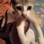 Priyahussan Priya hussan Priya hussan