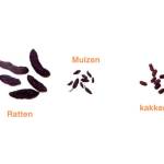 Bureauplaagdierpreventie