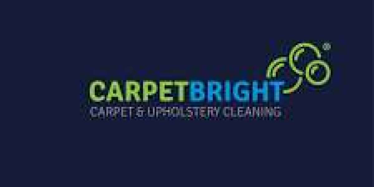 Carpet Cleaning Services Improve Daily Comfort Across Residential Spaces